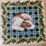 Printed Tapestry Canvas Tartan mat with sleeping dog