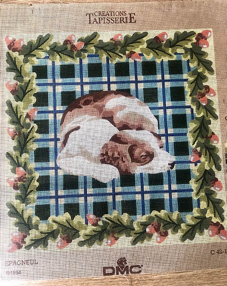 Printed Tapestry Canvas Tartan mat with sleeping dog